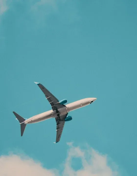imgi_15_pexels-roman-ska-3453281-13847081-scaled-rpehceub7cuum3zqqpc0p0wflwtg3gh0cttf9comjk
